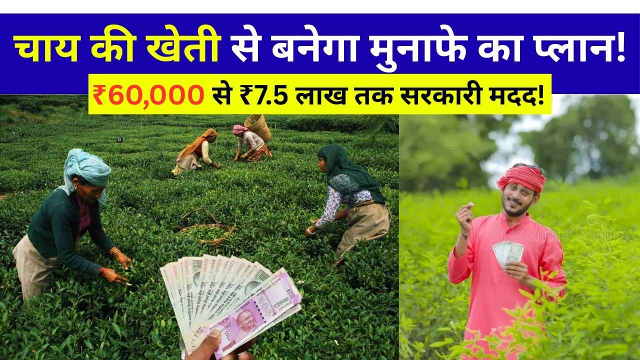 Tea Farming Subsidy